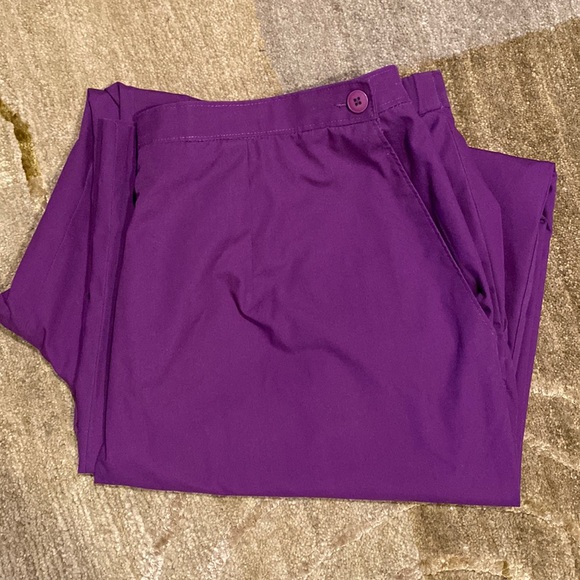 ~Setiage~ Purple Pants - Picture 1 of 4